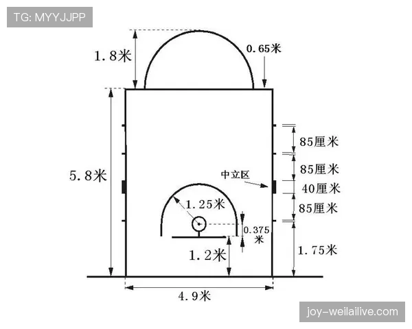 NBA与FIBA罚球规则最详细对比,看完这篇就彻底懂了 NBA与FIBA罚球规则最详细对比,看完这篇就彻底懂了